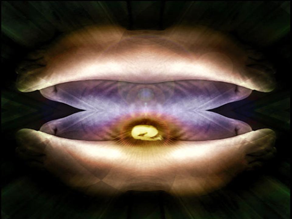 Pearl of great&nbsp;price